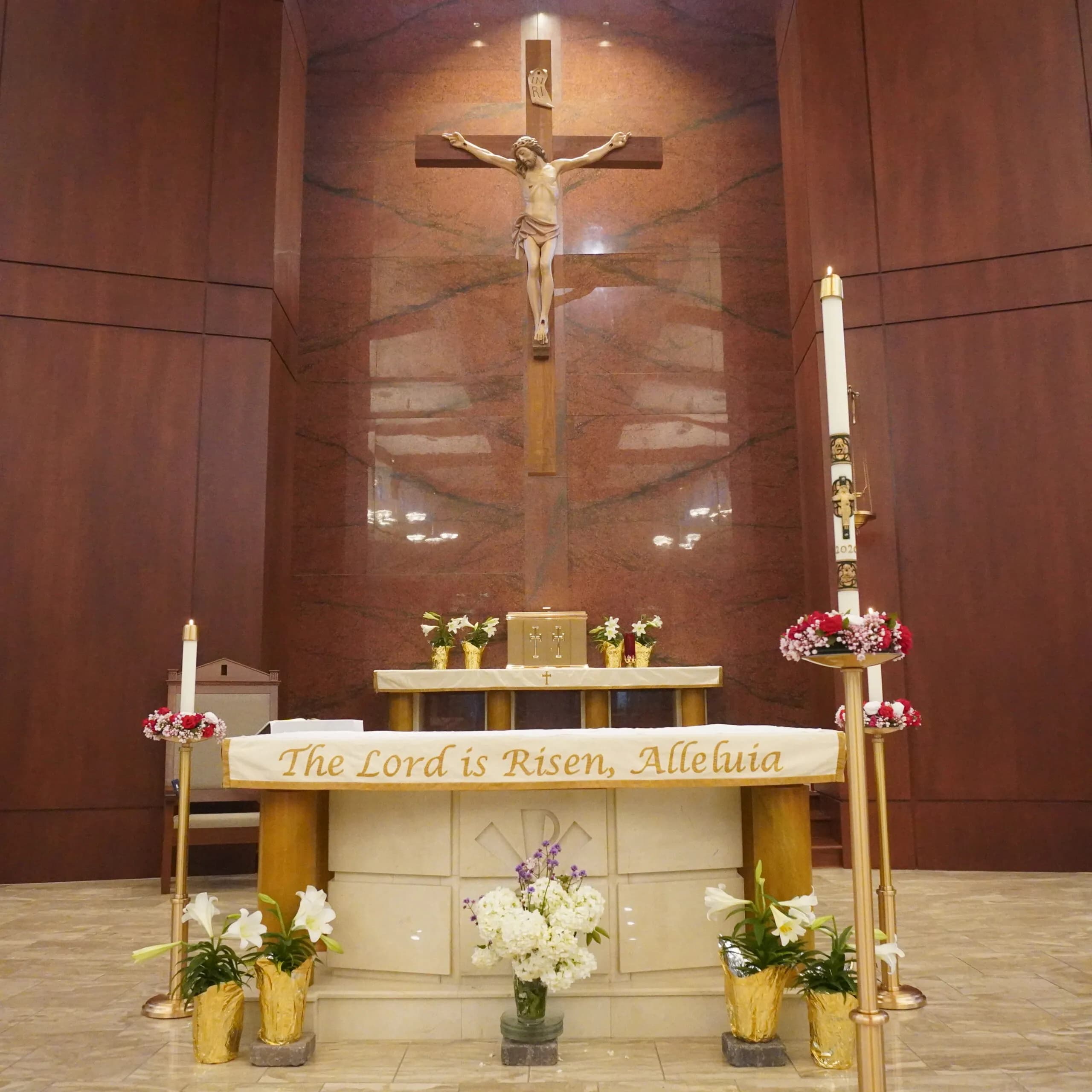 St. Francis of Assisi University Parish photo 2