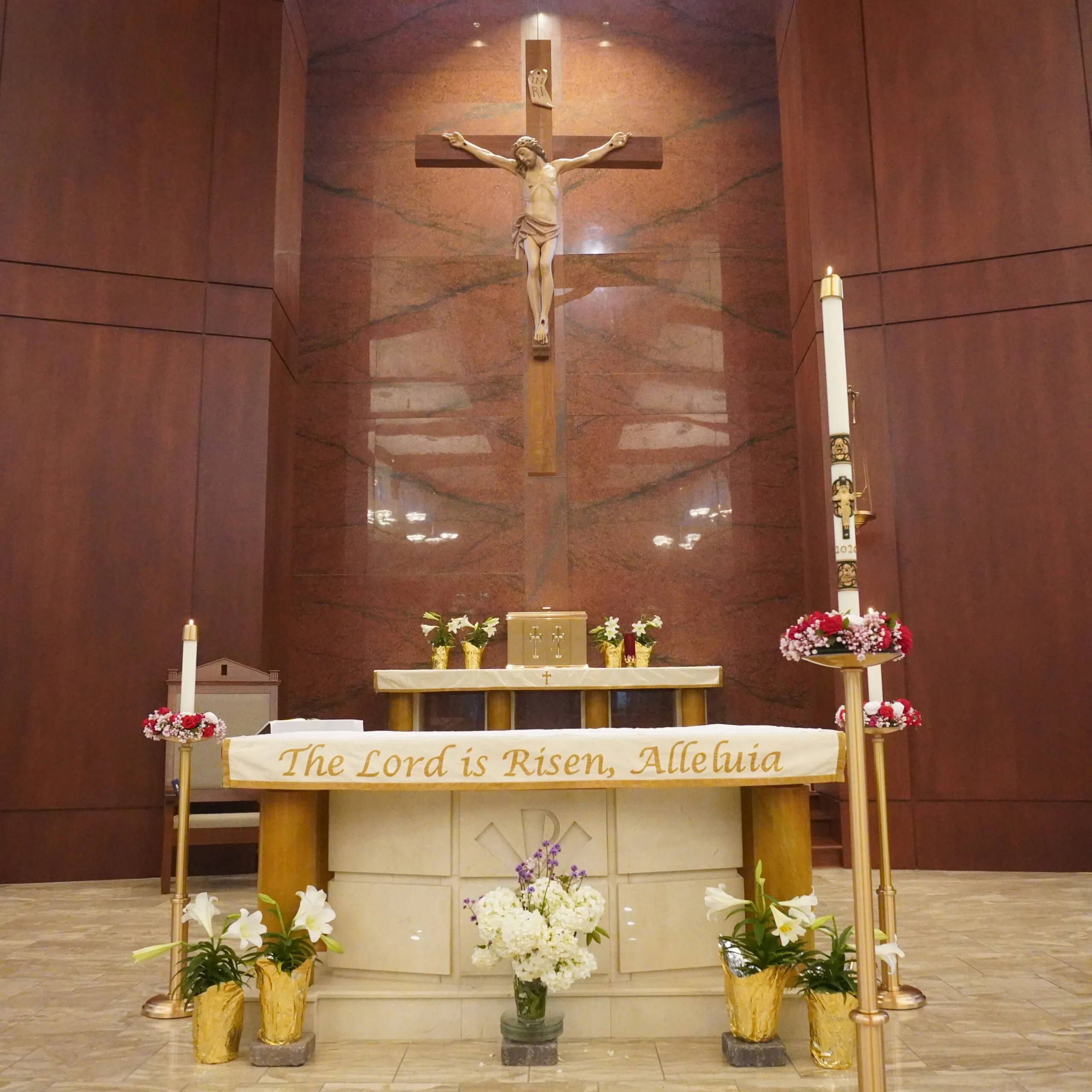 St. Francis of Assisi University Parish photo 2